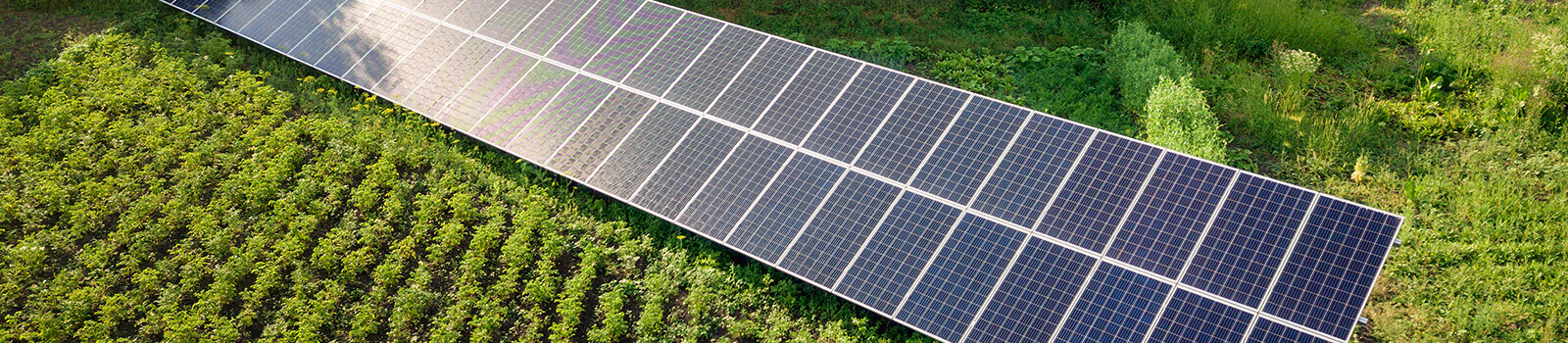 Photovoltaics for farmers
